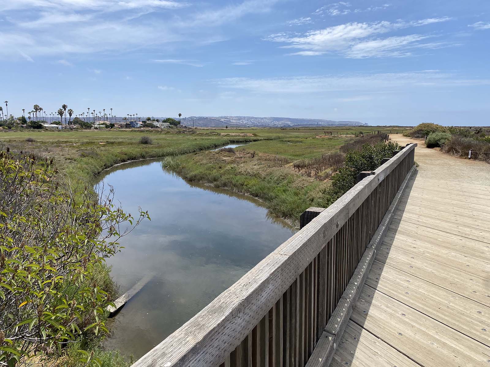 Tijuana Estuary Hike
